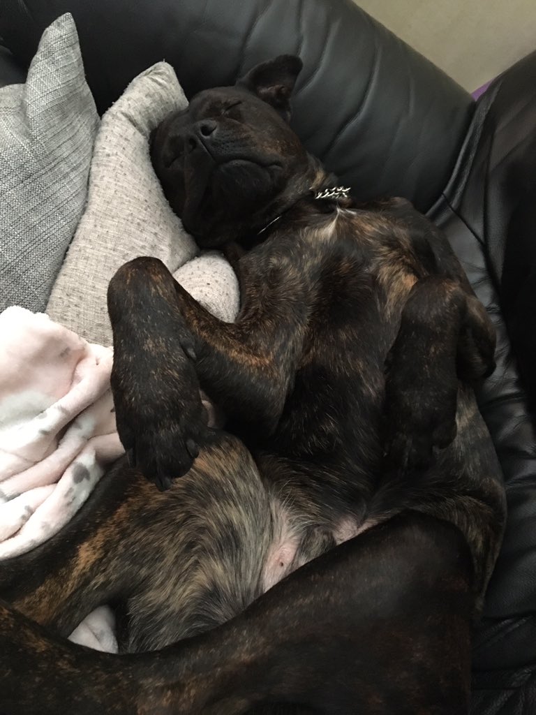 NetballLisa tweet media