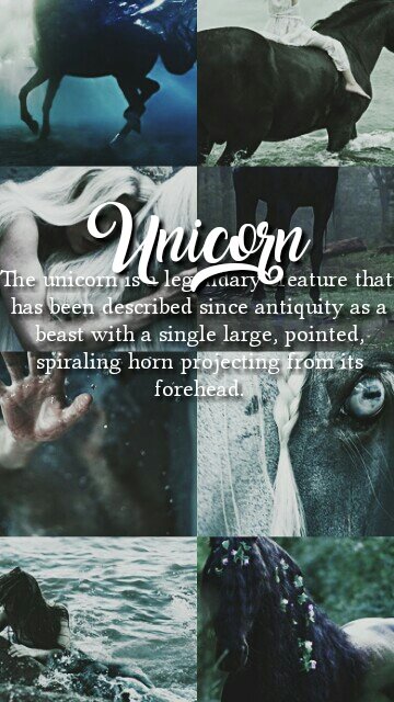 unlockscreen's tweet image. mythological creatures [6/?]
RT if you saved It
FAV If you like It
-caio