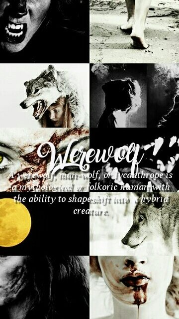 unlockscreen's tweet image. mythological creatures [6/?]
RT if you saved It
FAV If you like It
-caio