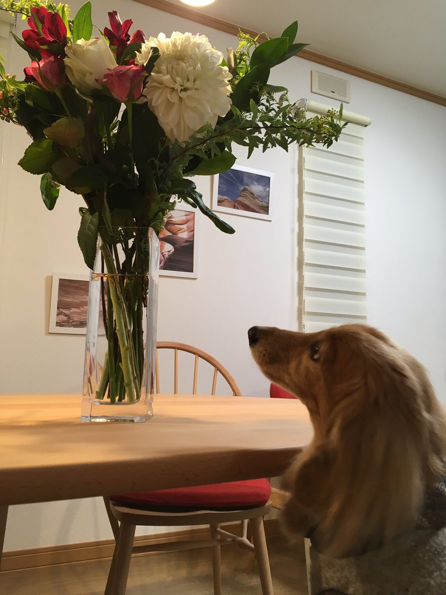 卒業生たちからいただいたお花💐豪華で素敵〜💕