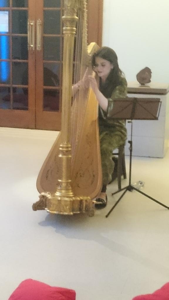 It turns out T-rex can play the harp! #DinoSnores