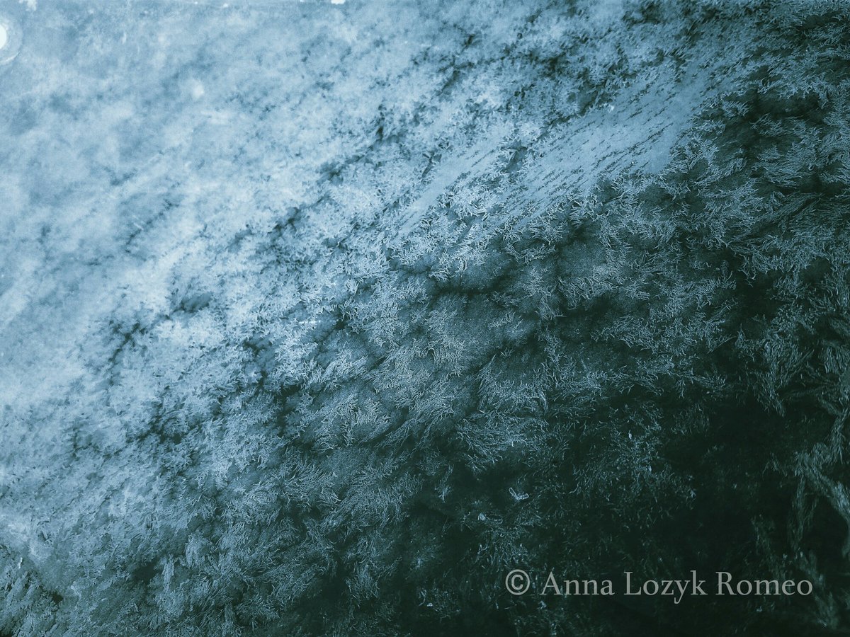 amlozyk's tweet photo. You know what that is? Just a frosty windshield. #frost #frostdesign #abstract #NaturePhotography #mobilephotography #LGG4 https://t.co/ZK3DATShge