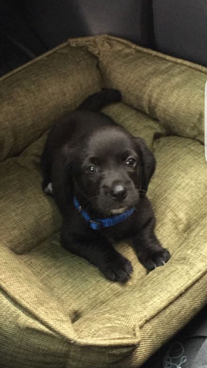 Hector Santos (@hectorsan007) on Twitter photo 