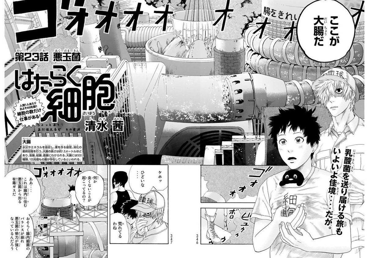 働く 細胞 はたらく細胞 再 アニメ Tokyo Mx