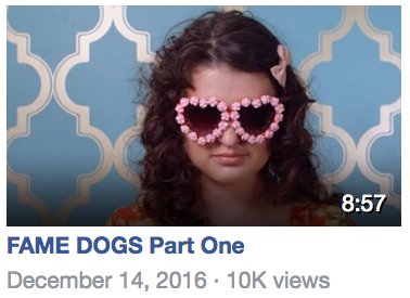 FAMEDOGS's tweet photo. Boom, baby! Today the #famedogs pilot surpassed 10k views on facebook alone. Our fans = best fans 💖 💖 💖 https://t.co/hq2qrg236O