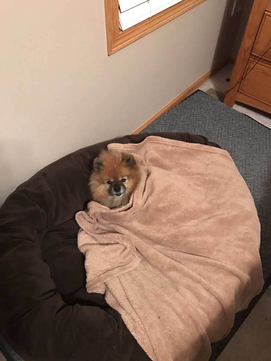 Lucy and Lola ready for bed. 💤 Have a great weekend.