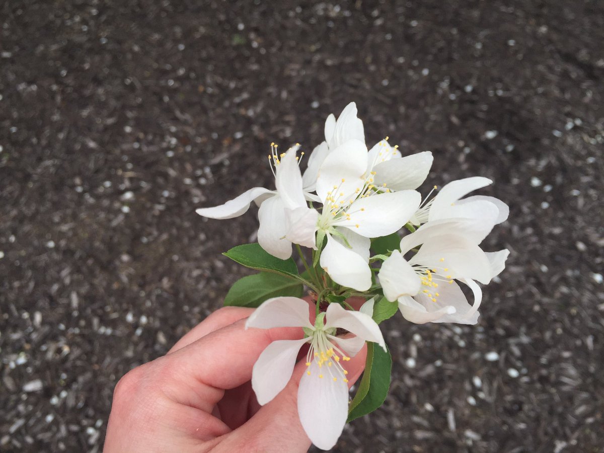 Grateful for stormy spring days and having enough spoons to go for a run today! ☺️💐 #fridayfeeling