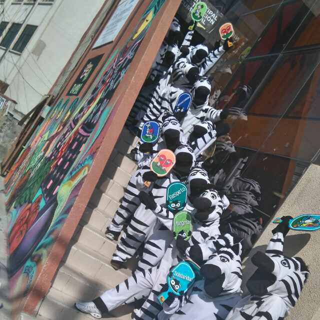 RodrigoOchoadj's tweet image. #JustAddZebra