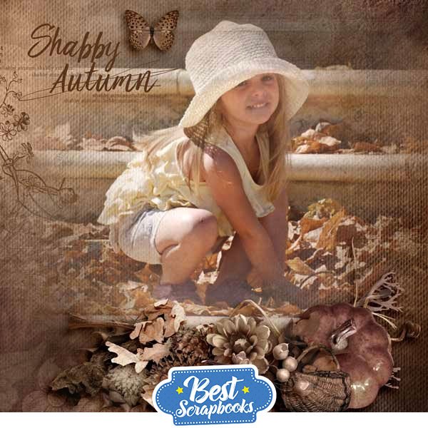Best Scrapbooks tweet media