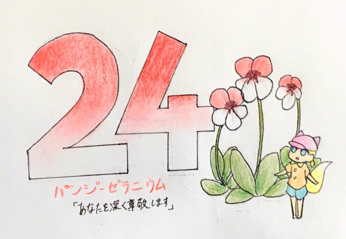 ゼラニウムのtwitterイラスト検索結果