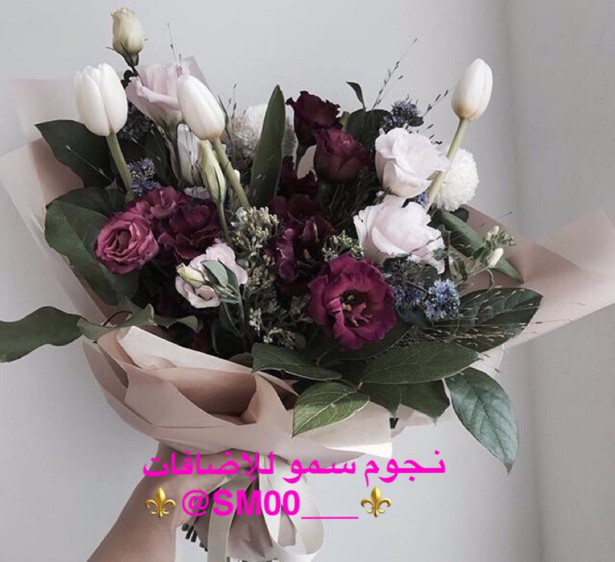 g__sj1's tweet photo. 💢إهداء من @SM00___💢
وإدارة #سمو_للإضافات
لنجومها المتفاعلين والمتميزين🌸
↓ ❁ ↓
@_0o3_ 
@Saad_1o1
@1FlIl 
@_07G_ 
@Smsm666Soso
↓ ❁ ↓
🐔@g__sj1🐔 https://t.co/YYLYVn5PCC