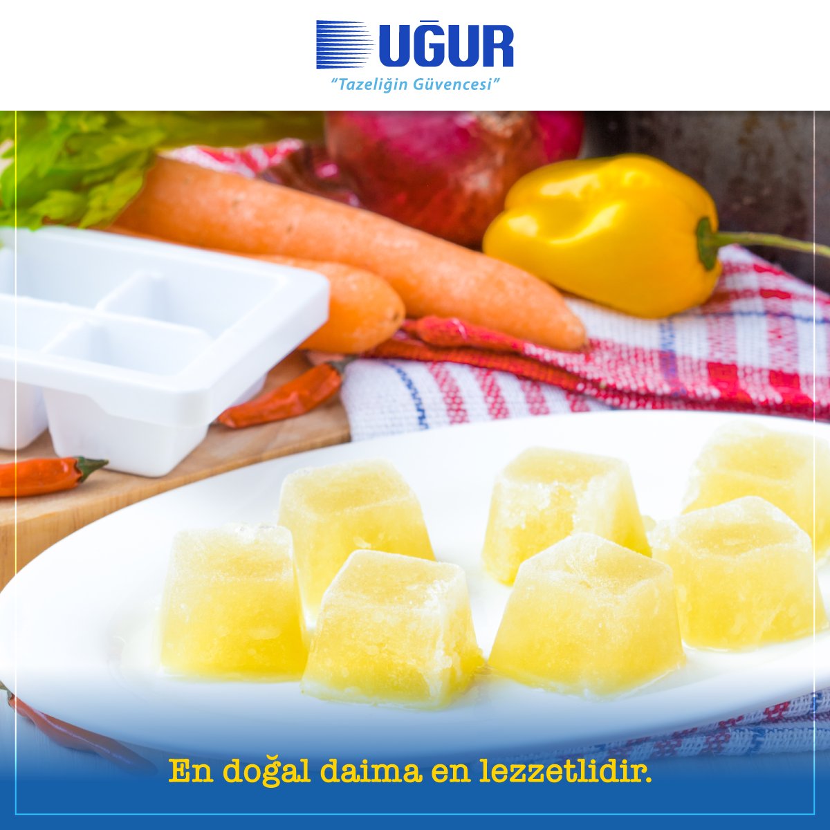 Evinizde hazırlayacağınız et ve tavuk sularınızı buz kalıplarında saklayabilir, dilediğinizde yemeklerinizde rahatlıkla kullanabilirsiniz.