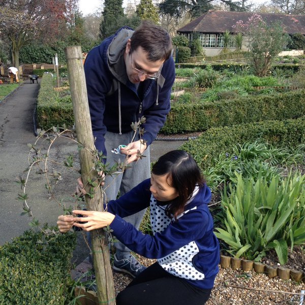 ParkHillFriends's tweet photo. Dig, plant &amp; be happy 
come join us Sat 10am/12
#CommunityGarden 
Walled Garden 
#ParkHillPark #Croydon
All welcome tools provided
@bernibee https://t.co/lSAAMIoGFb