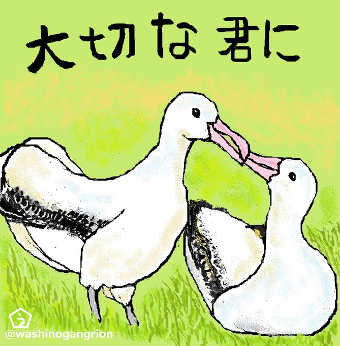 ワタリアホウドリのtwitterイラスト検索結果 ワタリアホウドリのtwitterイラスト検索結果