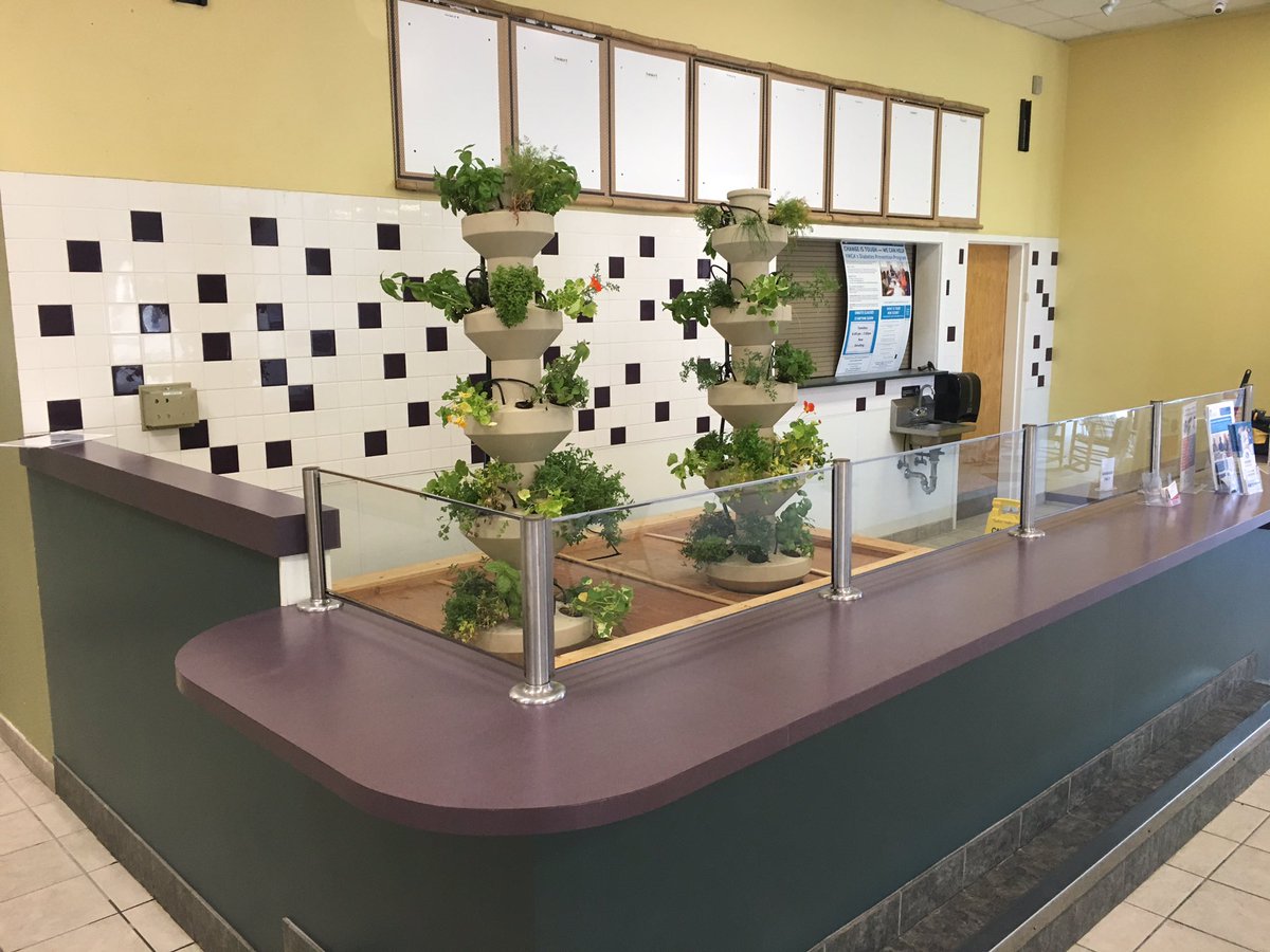 Seed2Source's tweet image. Aeroponic s at the Y - location 2