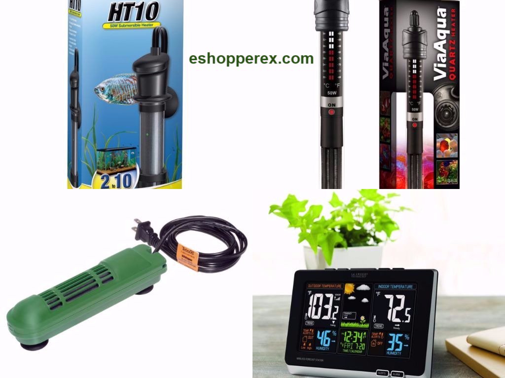 Rachel454Mason's tweet photo. #Fish_&amp;_Aquatics #Aquarium_Kit #Aquarium_Salt #Aquarium_Heater at #eshopperex.com

https://t.co/LWmTR6nfVl

#eshopperex https://t.co/woXUTzIEC1