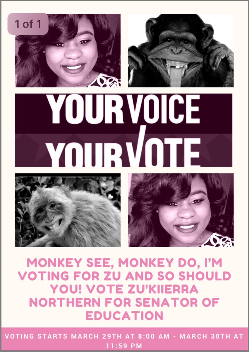 __zukie's tweet photo. Vote Zu'Kiierra Northern for Senator of Education on March 29th 8:00am - March 30th 11:59 pm! #AUM17 #AUM18 #AUM19 #AUM20 #Retweet ๐ https://t.co/hShzjcsELP