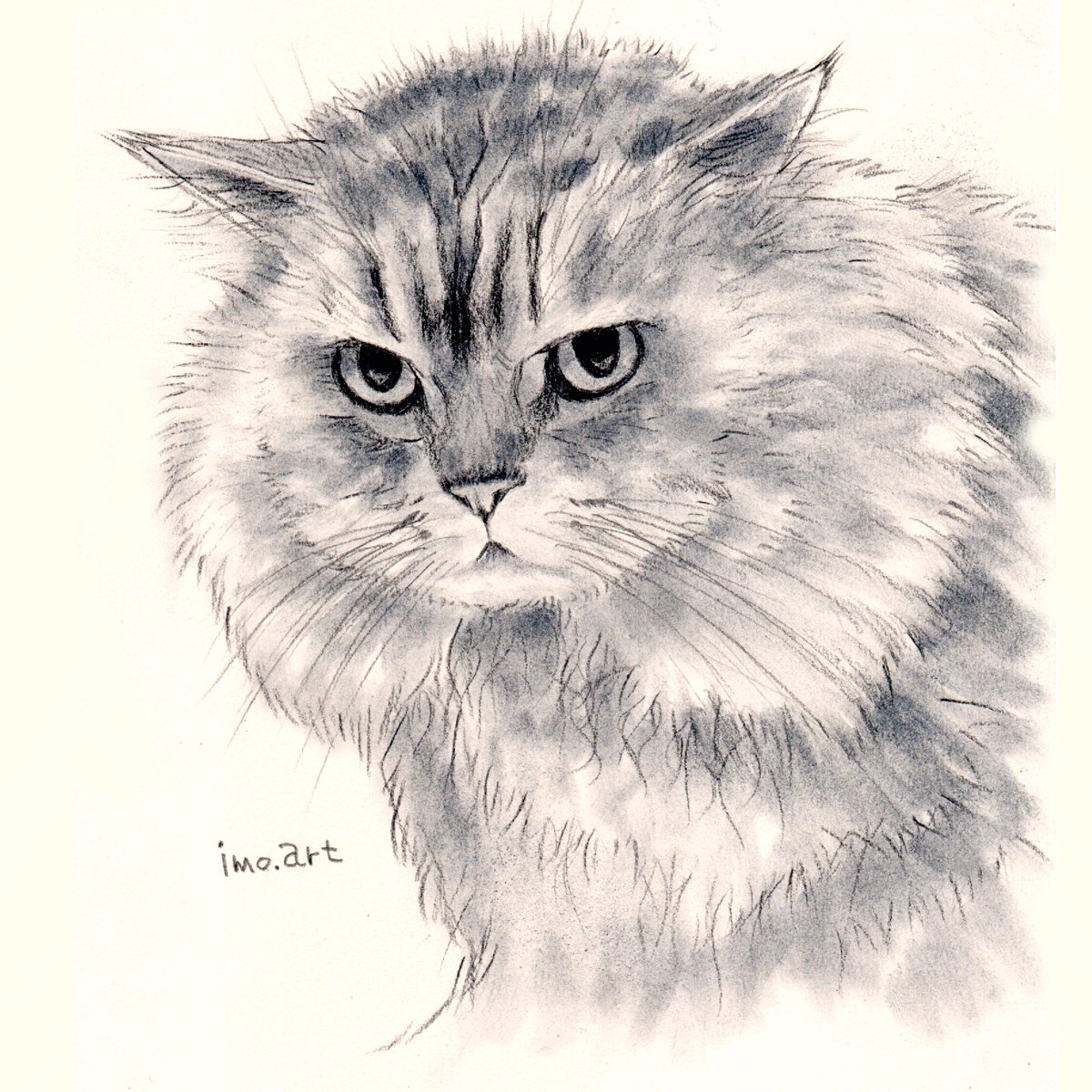 上手に 見える 絵を描くコツ 猫 の 鉛筆画 です 猫ら部 Catpainting Catart Kitty 上手に 見える 絵を描くコツ 猫 の 鉛筆画 です 猫ら部 Catpainting Catart Kitty