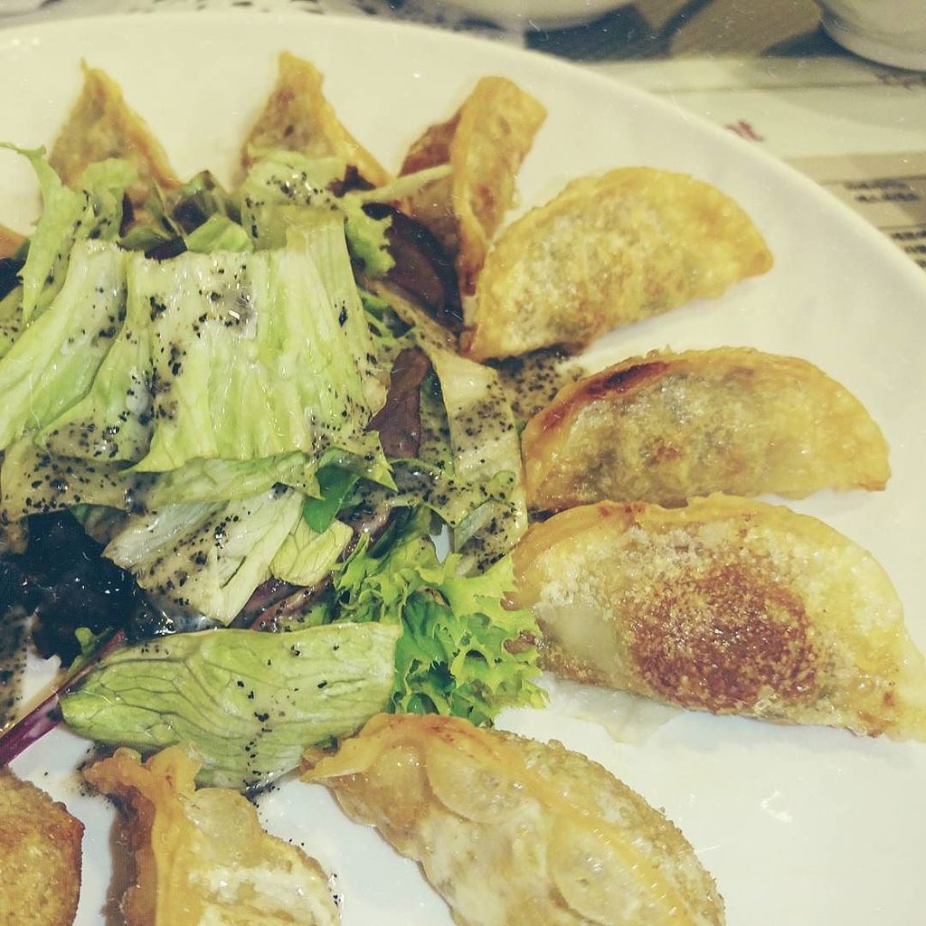 louannsab's tweet photo. Fried dumplings 😍😍😍 #foodie #foodstagram #instafood #foodblogqatar #blogger #dohablogger #qatarblogger #pinayblogge… https://t.co/BKpLeH7DGR