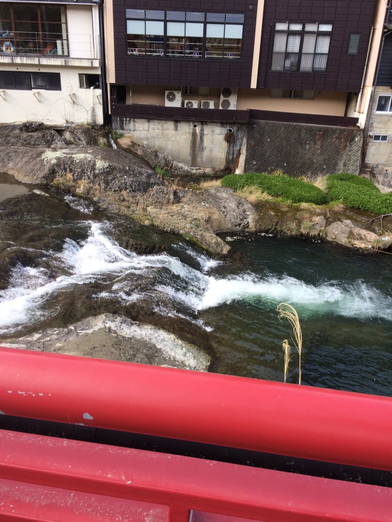 digoxin800's tweet image. 修善寺に着きました。でも名前の通りじぎたりすは邪神k