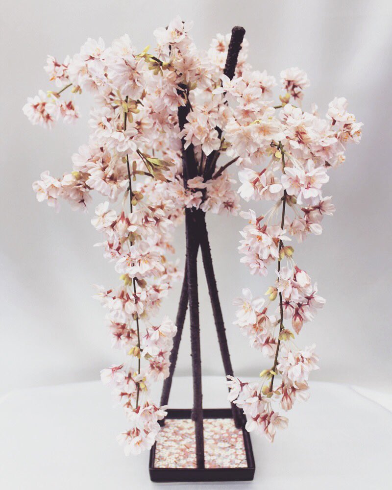 巴屋商店 בטוויטר もうすぐ桜だよりが届きそうです 艶やかで上品なしだれ桜のアレンジ お問い合わせは巴屋商店まで T Co Ycqz1bxksy 桜 しだれ桜 桜アレンジ アーティフィシャルフラワー 造花 春のインテリア フラワー アレンジメント さくら 大須