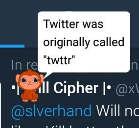 //W H A T