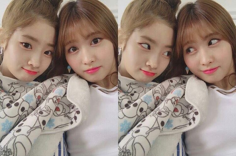 تويتر Twice 中文個站على تويتر Momo 多賢twicetagram更新翻譯 等下見哦 Once 一塊 豆腐 Twice 트와이스 多賢 平井桃https T Co Suvt19vmuv