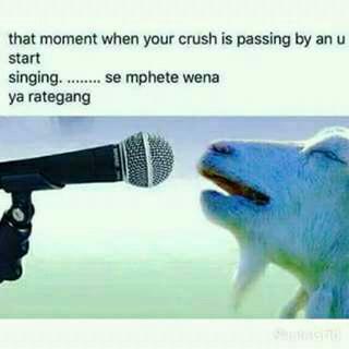 refilweafrica's tweet photo. #RomanticFiles 😂😂😂 https://t.co/e0vSJ8q83V