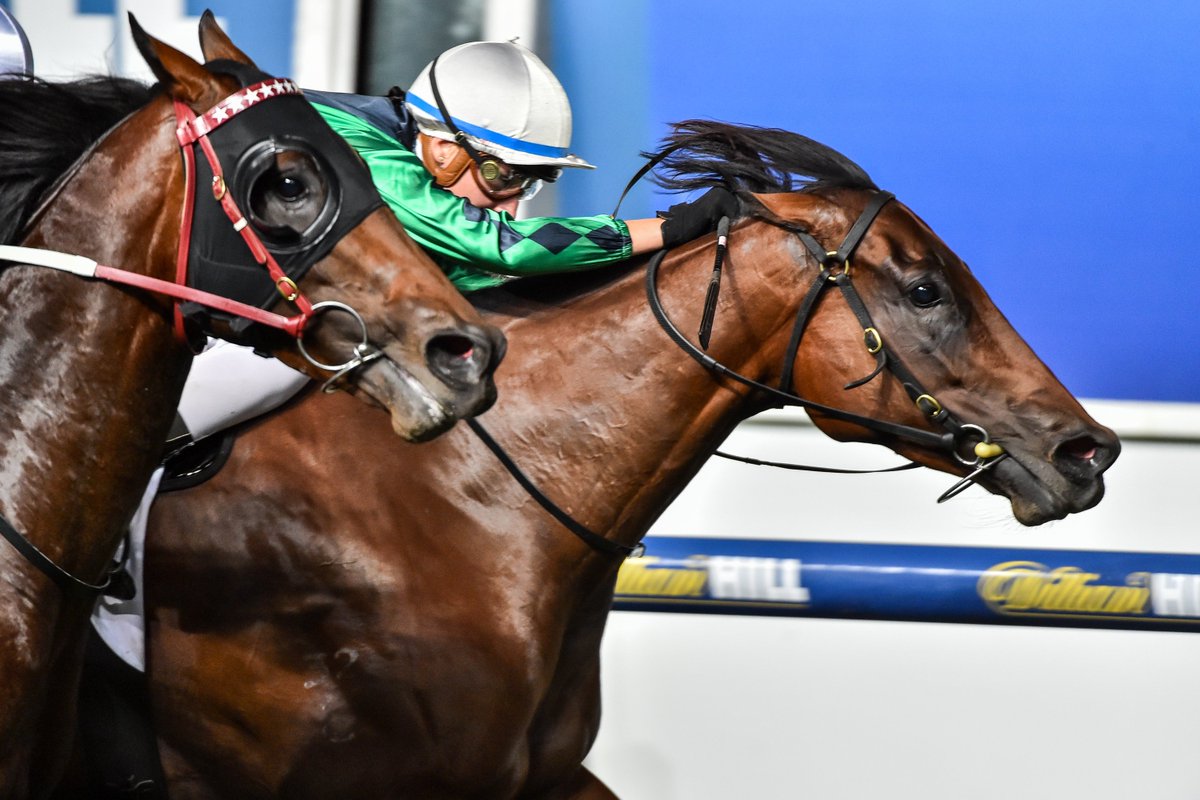 RacingVictoria's tweet photo. Incredible weekend for the Mallyon's - @katelynmallyon claimed her first G1 and @mallyon_andrew rode Tally to victory in the #MorningtonCup https://t.co/D6QSnSRiTR