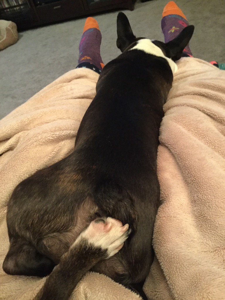 sandbott's tweet image. My bro is trying to help with my emissions control. Watch out for the kick back Kubi! 😝