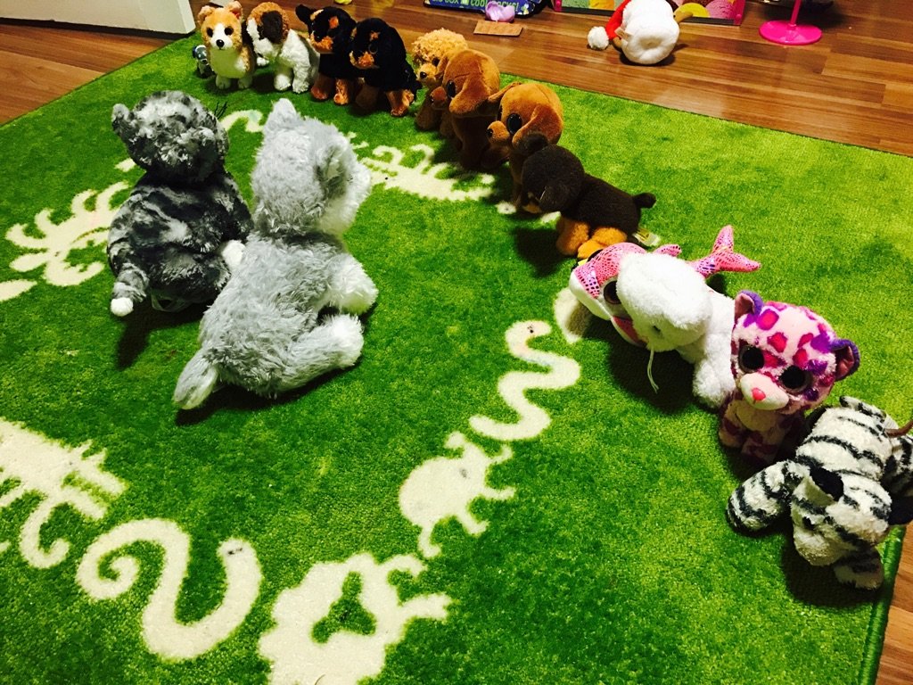 PlaydohRepublic's tweet image. Isla plays school. @K4BrowneStott are the 2 educators, can see students are deep in focus #calmalertandlearning "the new student is coming"