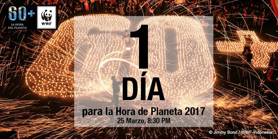 FundPatitas's tweet photo. Nos sumamos!  HOY!!! a las 20.30h, apaga la luz estés donde estés. https://t.co/12Sl5pSj6n
