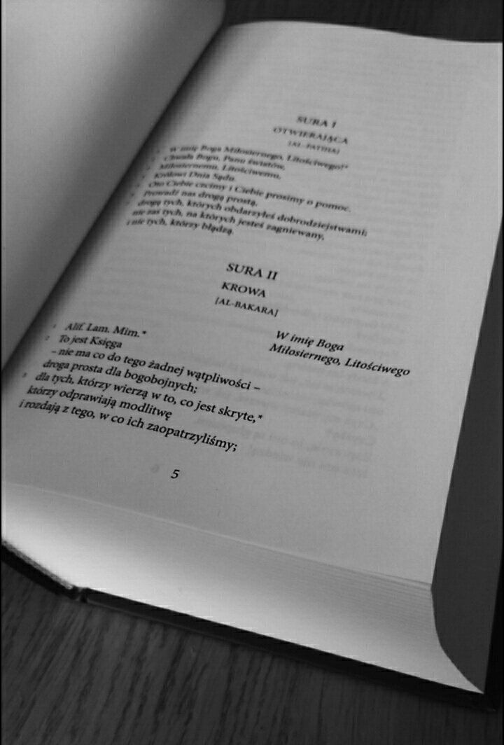Barbarochka's tweet photo. https://t.co/EhJi6ICKbI