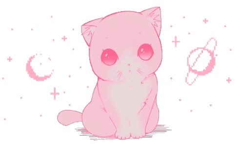 Pink Cats Anime Wallpapers  Wallpaper Cave