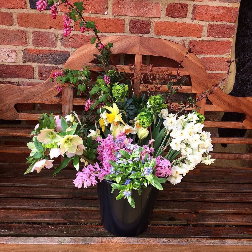 zoegardening's tweet photo. This is a bucket of #britishflowers #grownnotflown
#flowerorder for @gingerlilyflowers wh… https://t.co/czSuTwrwgY https://t.co/RSOm8ndtz0