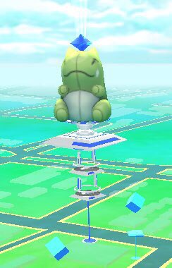 ポケモンgo 身代わり人形がジムにいたんやけどｗｗｗｗｗｗｗｗｗｗｗｗｗｗ ポケモンgoのチラシの裏