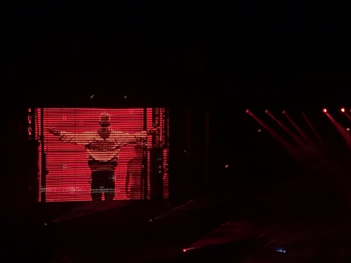 nikita 🌻 tweet media