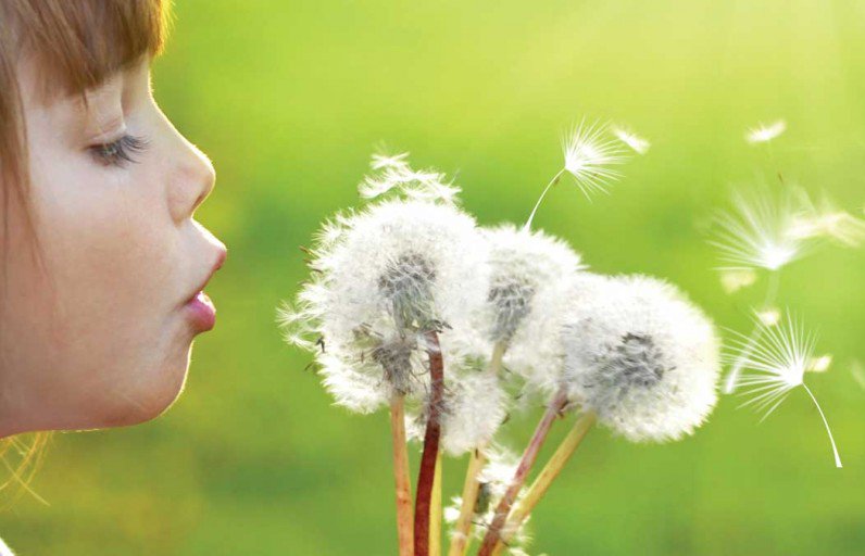 Elena Zanella tweet media