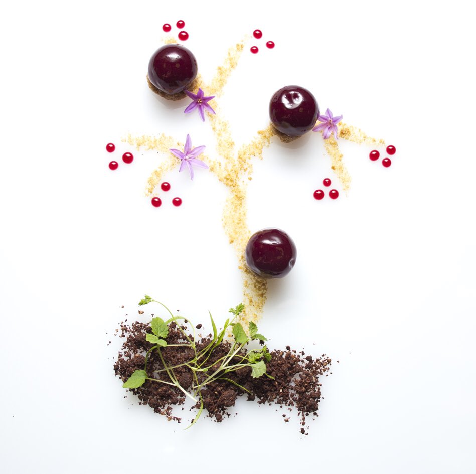 PavlovaAndCream tweet media