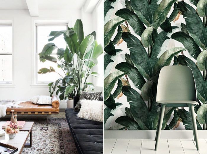 dazzling_cloud's tweet photo. You had me at aloe | Some pinspiration on how to arrange #greenery at home https://t.co/a0nuIrDdKU #greenterior #pantone2017 #urbanjungle https://t.co/tjQqpRrzuc