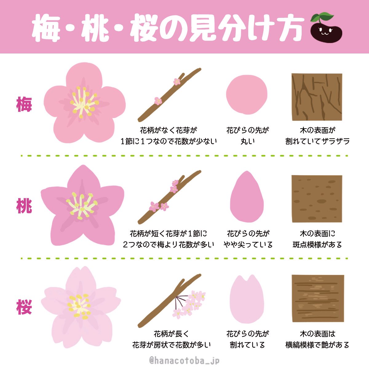 梅 桃 桜の見分け方のイラストが分かりやすいと話題に Togetter