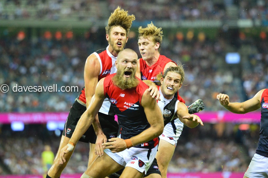 Dave Savell tweet media