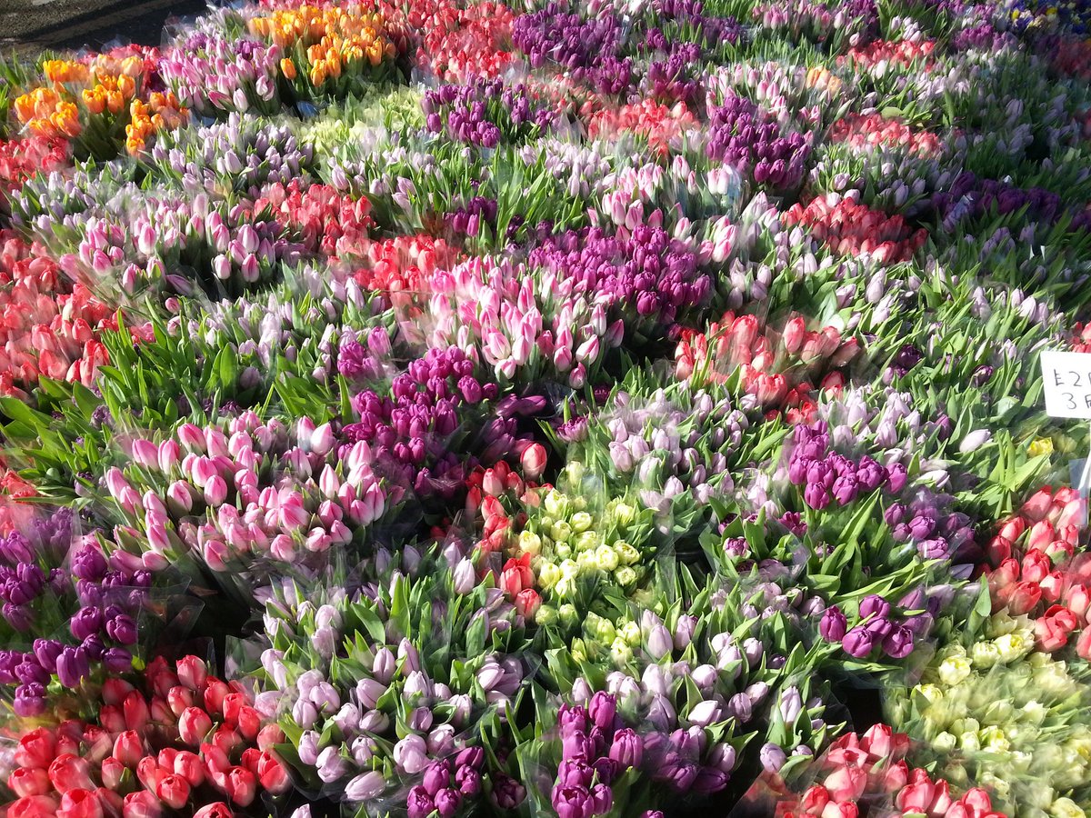 Ooh! It's like Covent Garden down here! Come and get your mother's day flowers