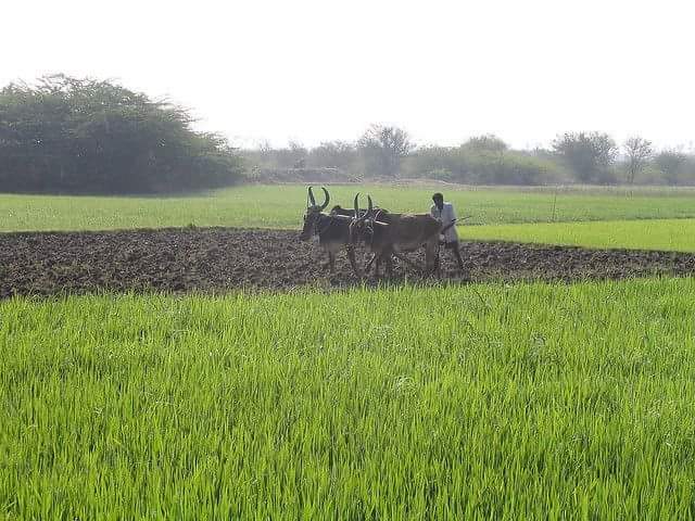 Nakaraj7's tweet photo. Hai friend good evening to all https://t.co/wxZMA70fKM