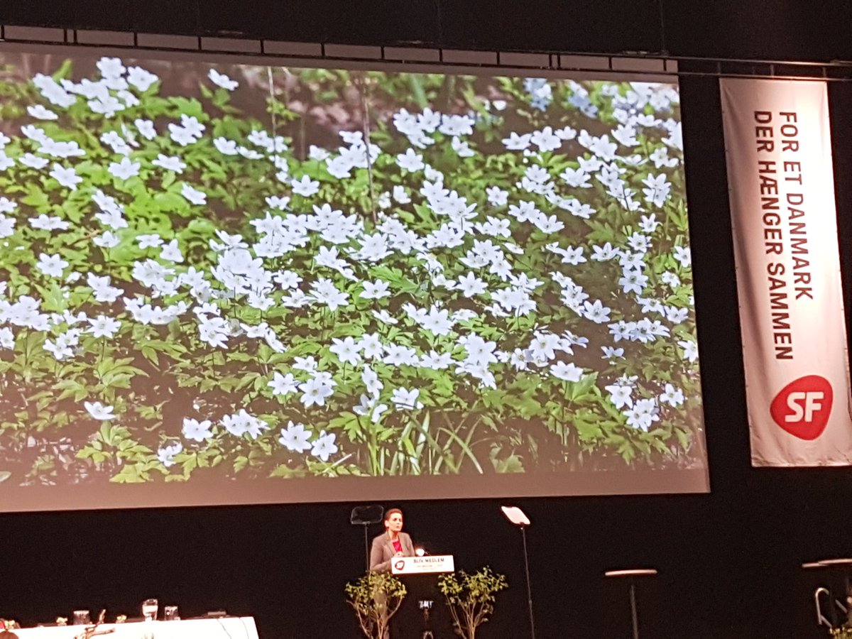 sosrosenkvist's tweet photo. SF's forkvinde @PiaOlsen på talerstolen. 1200 nye medlemmer i SF siden årsskiftet 👊 #fremgang #ForEtDanmarkDerHængerSammen #sflm17 #SFftw https://t.co/6P03XizvSu