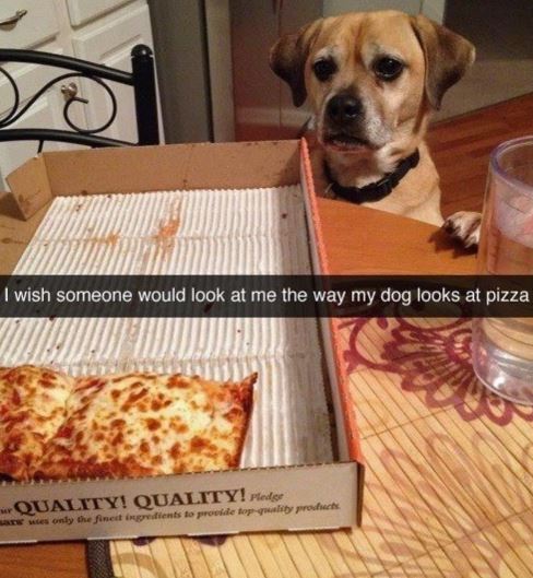 UNILAD's tweet photo. That pizza is so lucky 😩 https://t.co/nA50QLHLhp