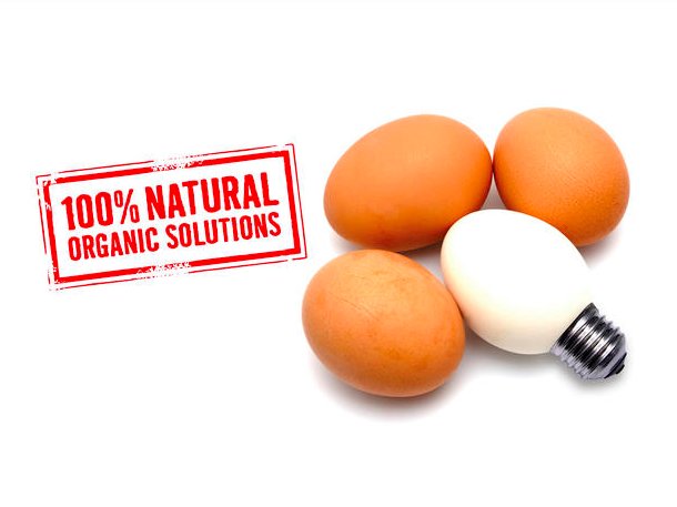 KevinMelbourne's tweet photo. 100% Natural Organic Solutions for your Business! #marketing #seo #socialmedia
Click below to learn more. 
https://t.co/AcyjLAyGHk https://t.co/wzvWh5xptl