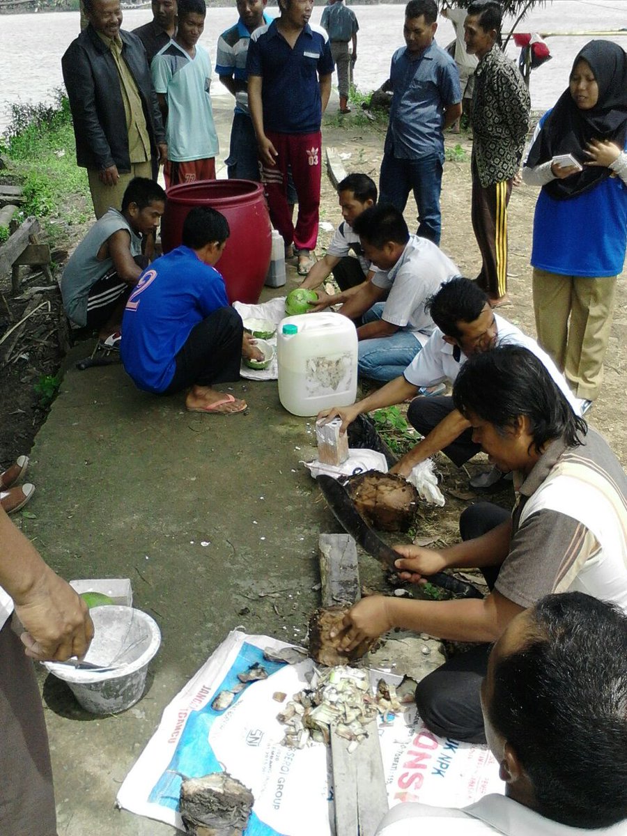 FsSumsel's tweet photo. Pembukaan Persiapan PPHT THL-POPT
Pembuatan Mol pupuk cair
@oyikkusuma 
@KomiteNusantASN 
@alexnoerdin
@fsthlpoptnasional
#SahkanRevisiUUASN https://t.co/zjdhnO0p8c