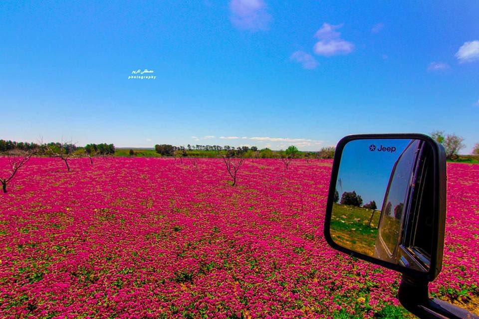 loayomran tweet picture