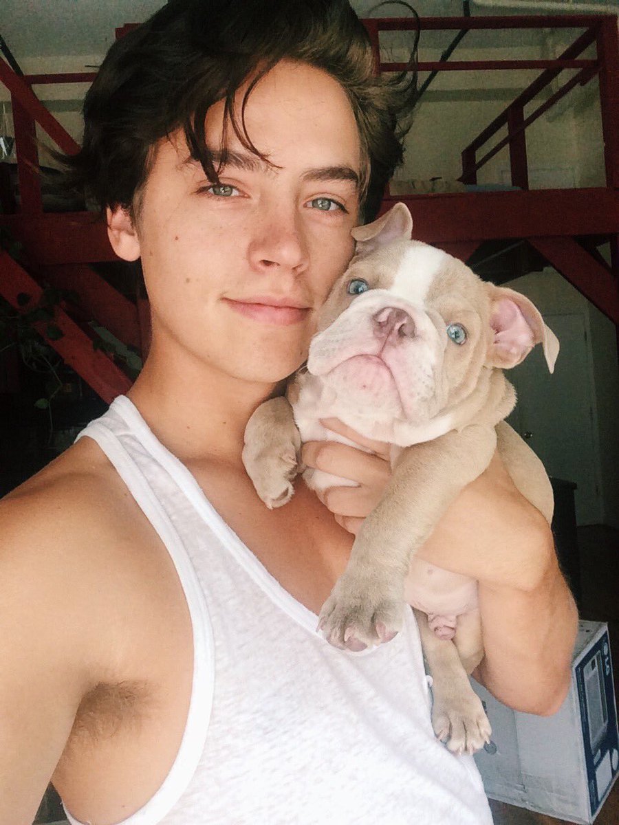 GossipRoomOff's tweet photo. Cole Sprouse aka Jughead de la série #Riverdale 📸🔥 https://t.co/vOVfBSkpkL